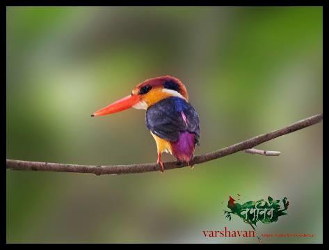 Varshavan- Nature, Hobby And Art Residency Hotel Dapoli Exterior photo